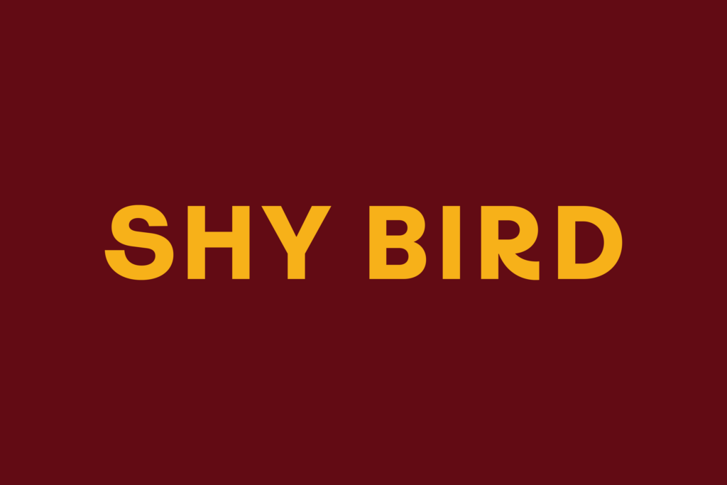 Shy Bird Logo