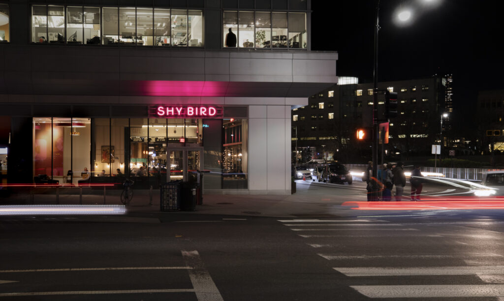 Shy Bird Exterior Neon