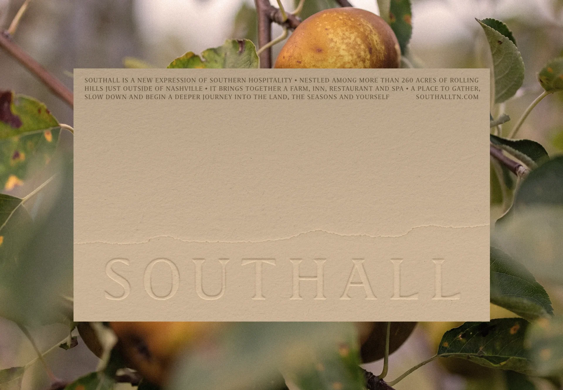 Southall Wordmark by Perky Bros